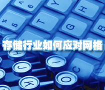 DoSTOR存储分析 专栏文章:存储行业如何应对网格-DOIT-数据产业媒体与服务平台