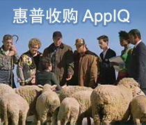 DoSTOR存储分析 惠普收购AppIQ,加速存储整合-DOIT-数据产业媒体与服务平台
