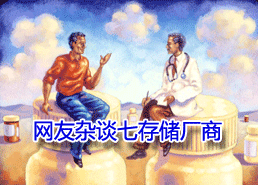 DoIT社区网友看存储厂商:乱谈七家存储厂商-DOIT-数据产业媒体与服务平台